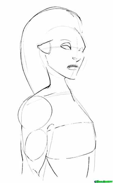 Talon3