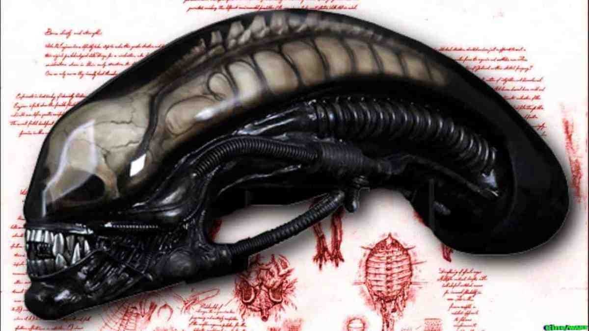 Why Aliens Have Elongated Heads – Inspirations And Lore