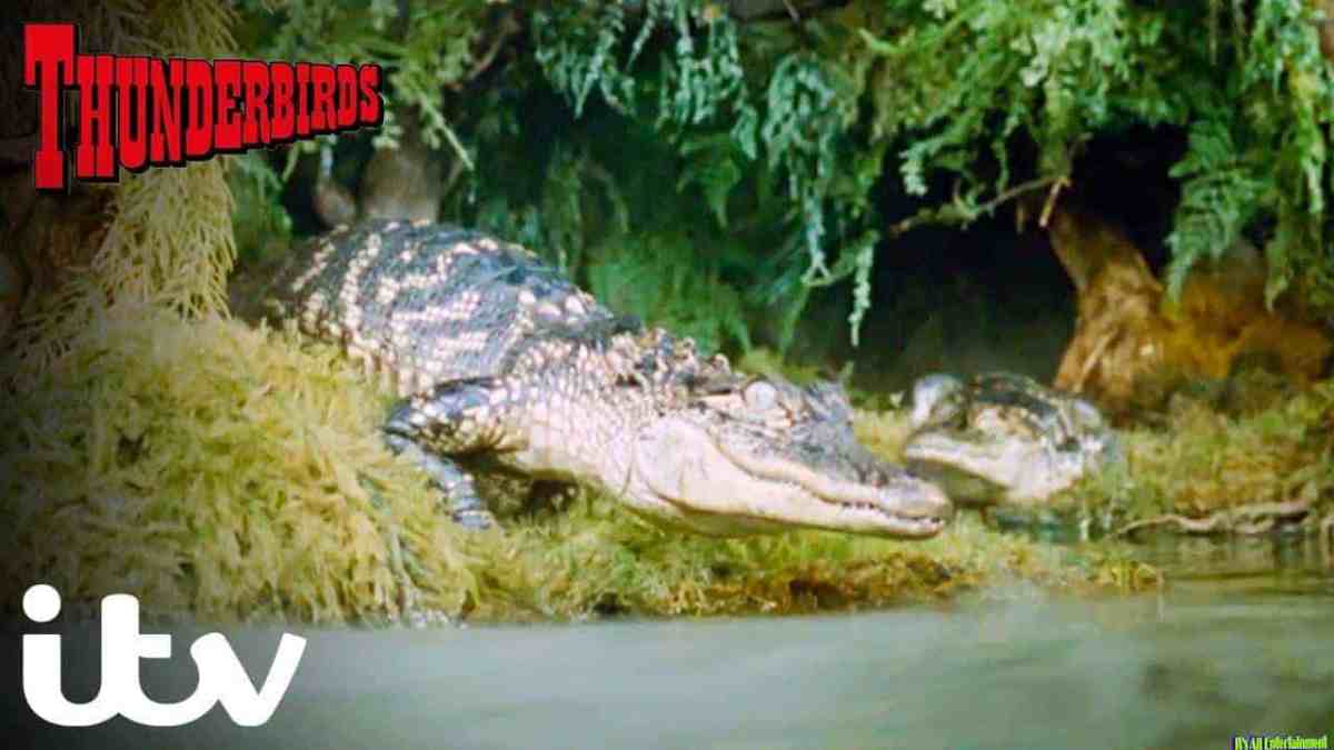 Thunderbirds Ep.23 | Attack Of The Alligators