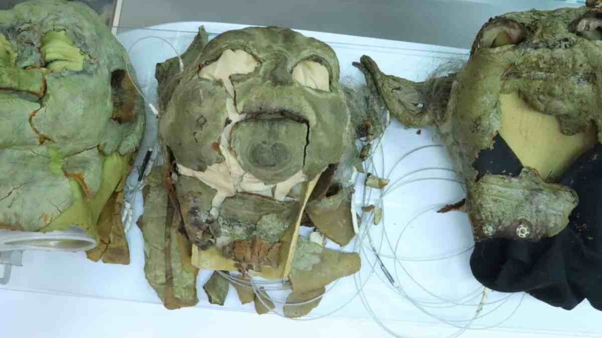 The Importance Of Stuart Freeborns Yoda Archive