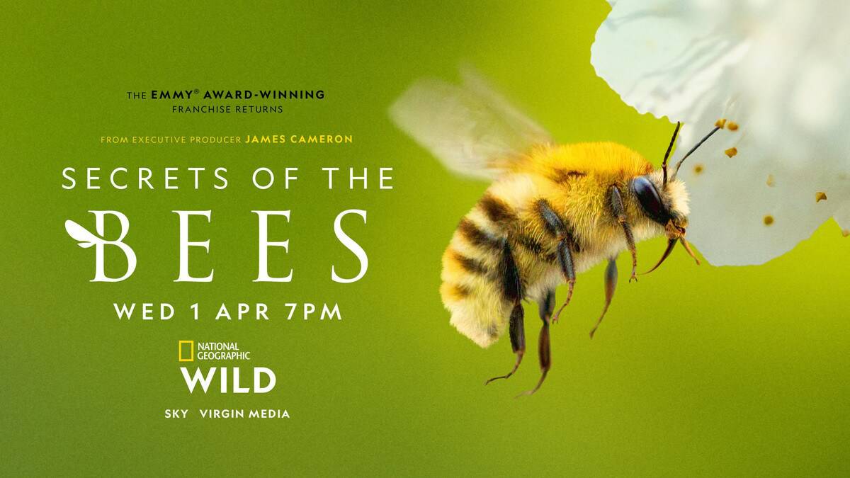 National Geographic Releases Un Bee Lieveable Trailer
