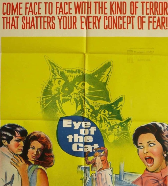 Eye Of The Cat (1969)