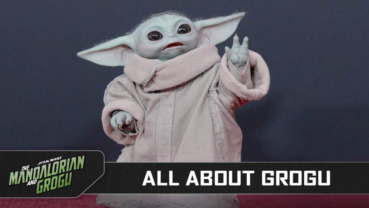 A Closer Look At Grogu