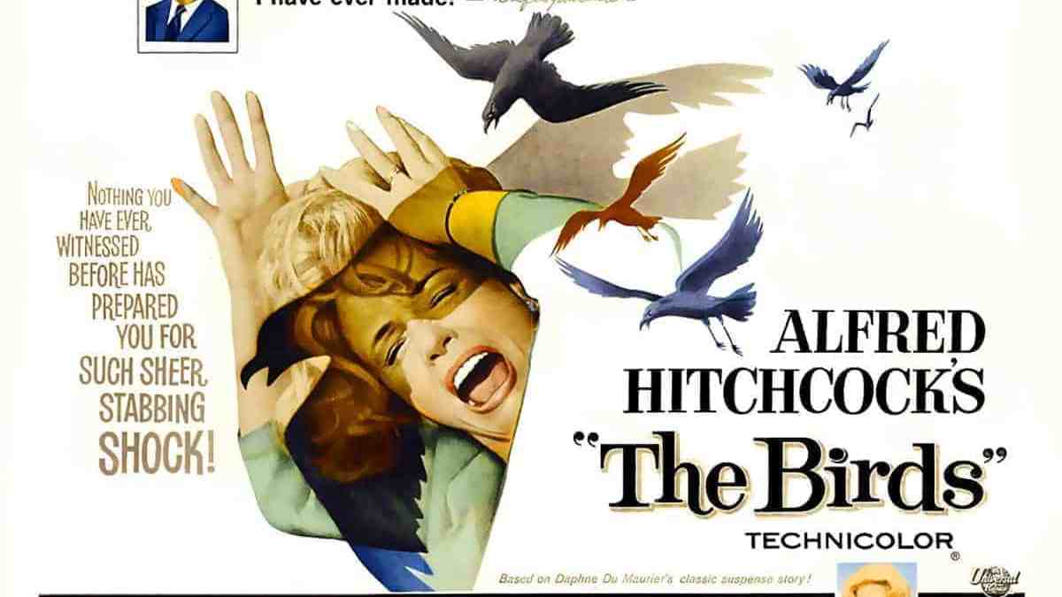 The Birds (1963)