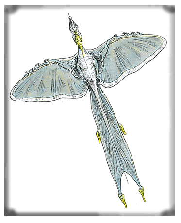 Naboo Swamp Creatures of Episode I