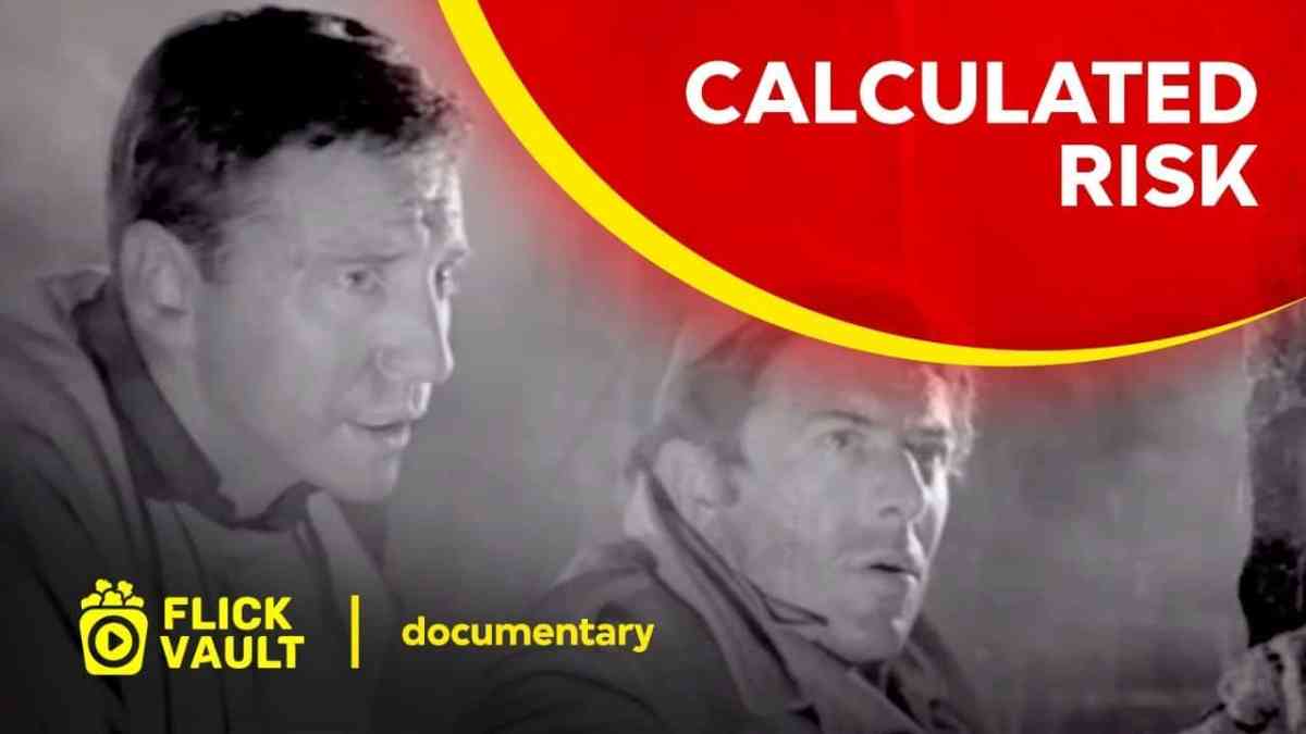 Calculated Risk Full Hd Movies For Free Flick Vault