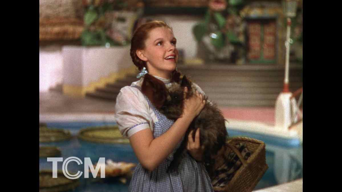 Tcm Now And Forever